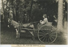Martha Hedman actress on