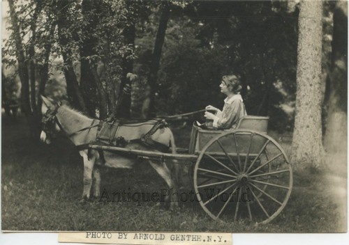 Martha hedman actress - martha,