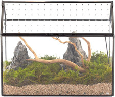 Glass Terrarium with Acrylic