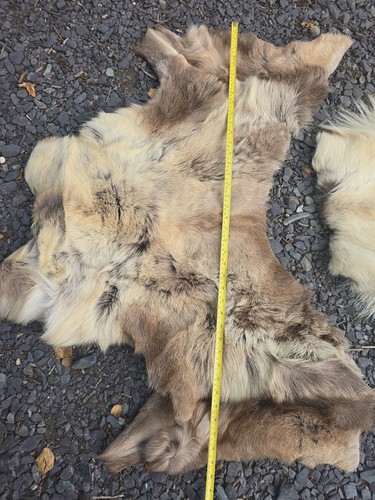 Reindeer skin saddle pad - reindeer,