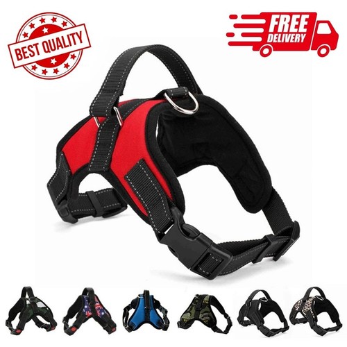 Dog harness pull - dog, for