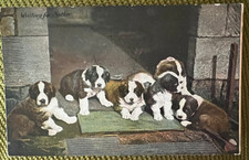 Antique dog postcard Boston