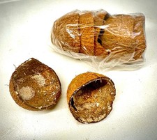 Coconut shell Halves ( Pack Of