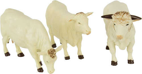 Simmental charolais cows - simmental/charolais,