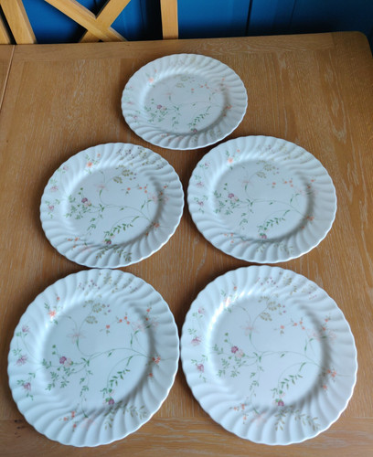 Wedgwood campion bone - campion, china