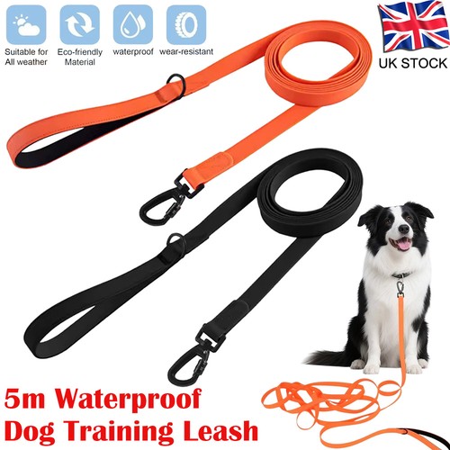 Waterproof dog leash - 5m,