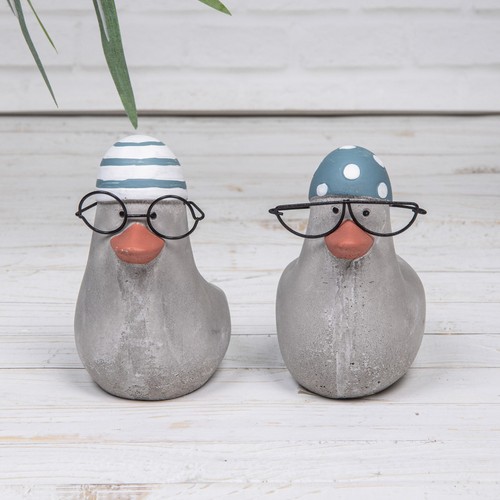 Seagull bird swimmers - 2,