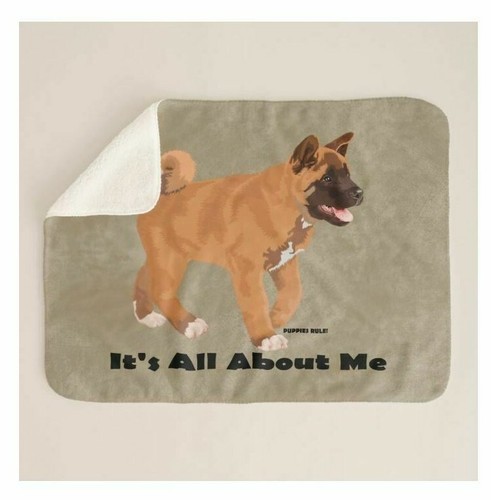 Akita dog breed about - about, me