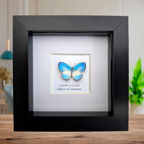 Framed pointed line blue - framed,