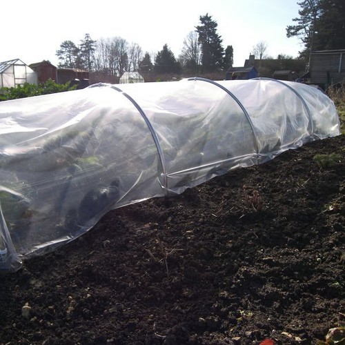 Clear garden polythene - polythene, sheet