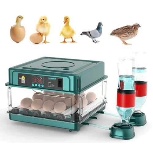 Incubators for hatching - hatching, eggs
