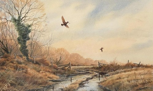 Contemporary countryside - contemporary,