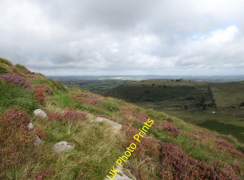 Photo 12x8 heather - photo,