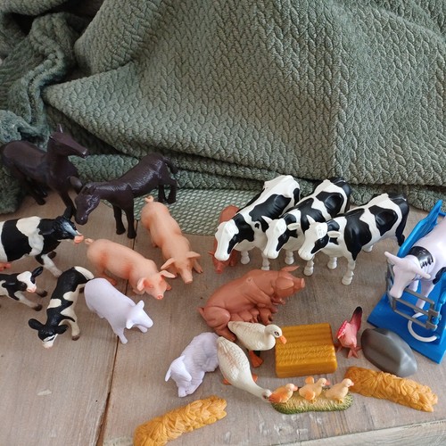 Farm animals various - farm,