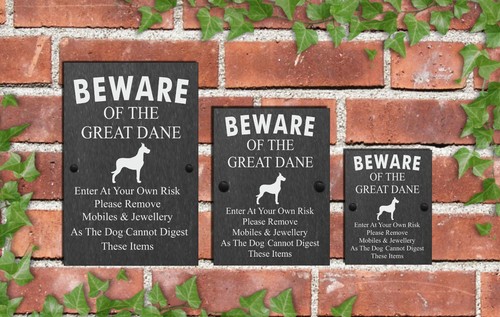Humorous beware the dog - beware, of