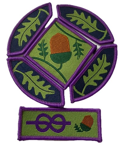 Explorer scout badges - uk,