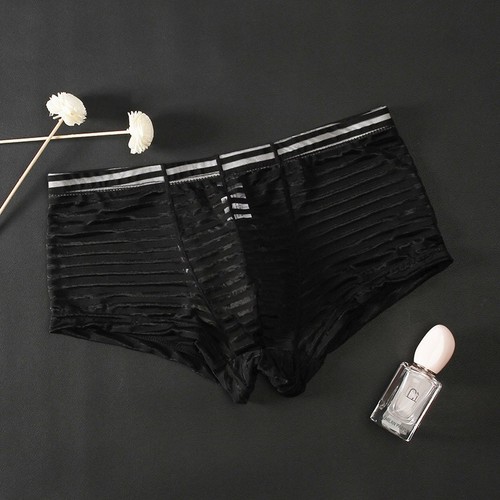 Mens sexy sheer - sexy,