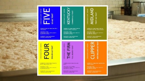 Home brew premium beer - yeast,