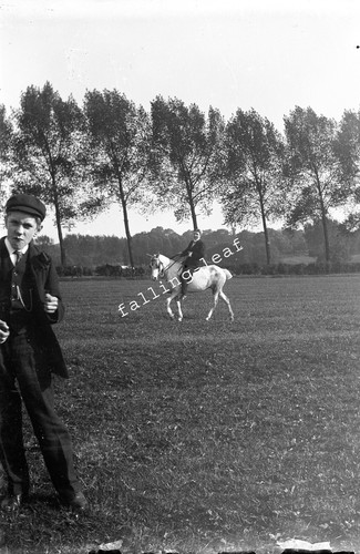 Young man riding horse - young,