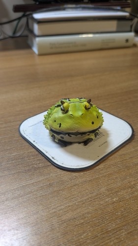 Amazon horned frog pacman - amazon, (pacman