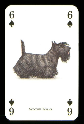 Playing card the - 1, dog