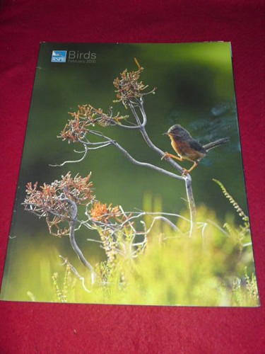 Rspb birds magazine feb - magazine,