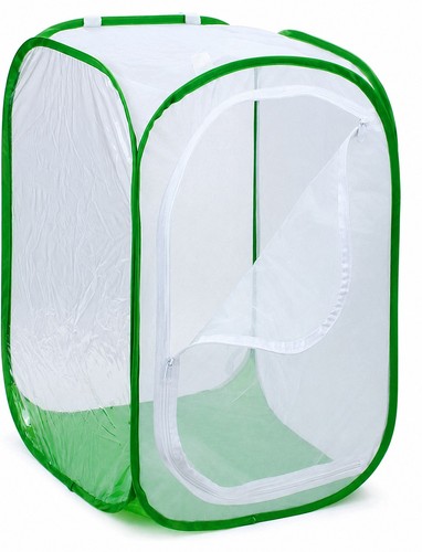 Inch large monarch - large,