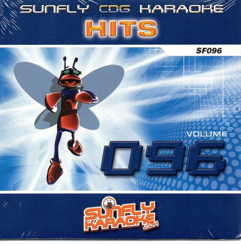 Sunfly hits karaoke - hits, disc