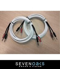 Chord Company Rumour X Speaker