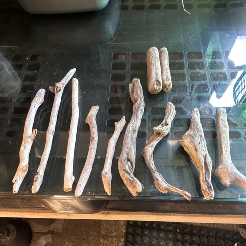 Natural driftwood pieces - natural, lot