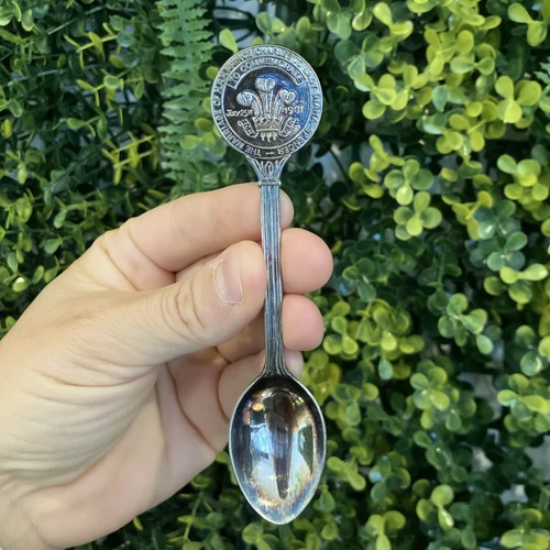Vintage prince charles lady - charles,