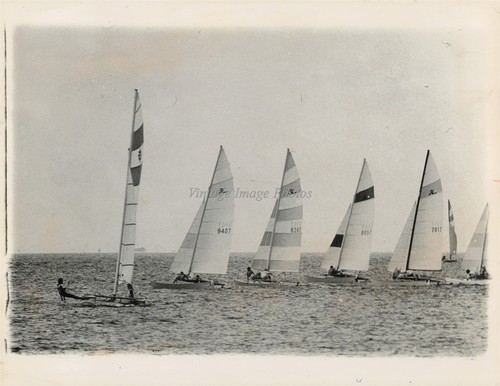 1976 hobie cat racing - 1976,