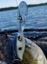 Yo Zuri Deep Crank Fishing