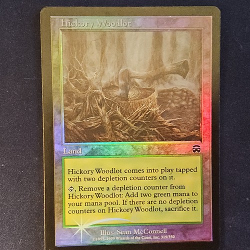 Magic the gathering - the, hickory
