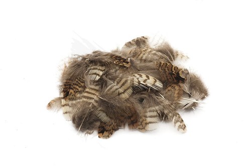 Woodcock body plumage feathers - body,