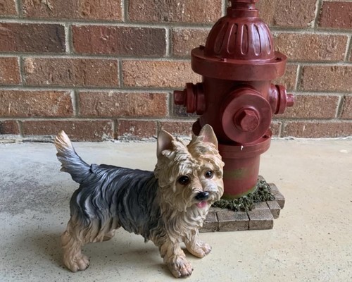 Realistic yorkshire terrier - realistic,