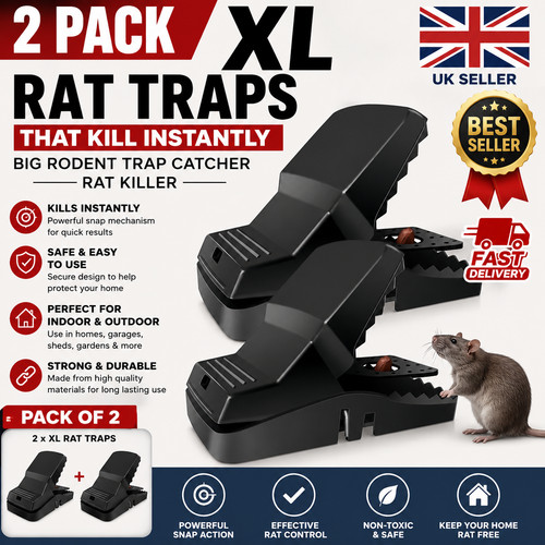 Pack rat traps that kill - rat,