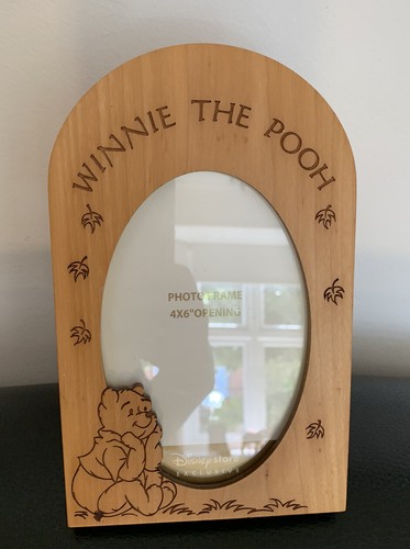 Winnie the pooh disney store - the,