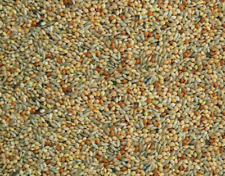 1KG / 3KG / 20KG BUDGIE SEED