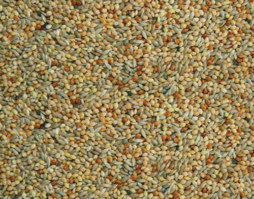 1kg 3kg 20kg budgie seed - 20kg,