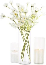 Cylinder Vases for Centerpieces Hurricane floating candle holder Flower Set of 3