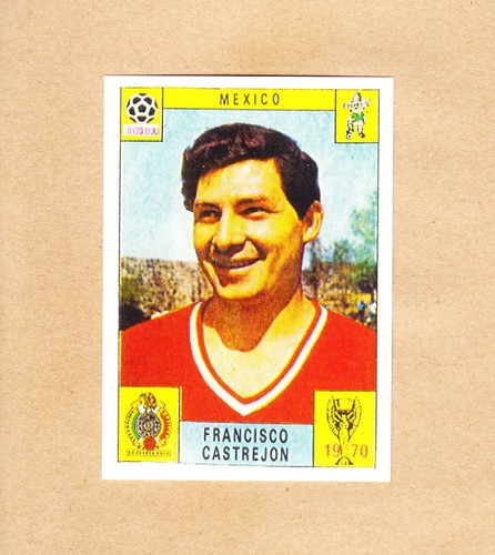 Panini fifa world cup - -,