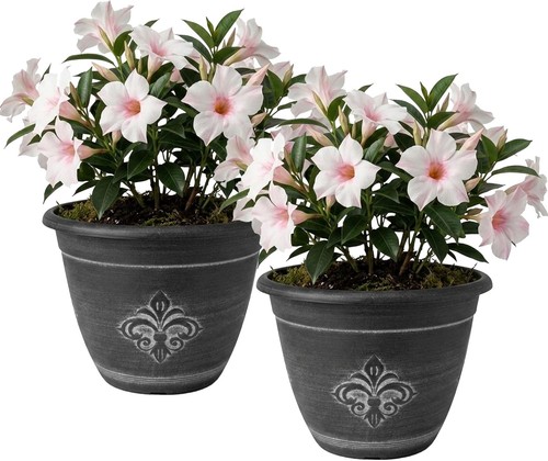 Large outdoor plant pots - large,
