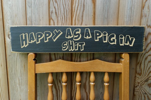 Happy pig shite - happy, in