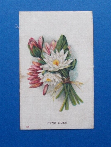 Cigarette cards westminster - cards, by