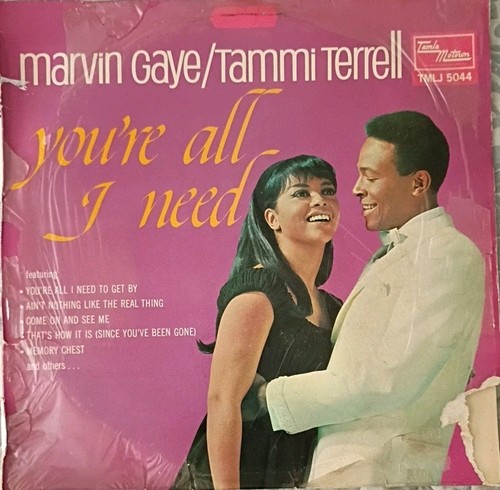 Marvin gaye tammi - marvin, terrell