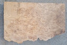 Timber Scottish Burr Elm Blank