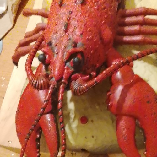 Red lobster shellfish ornament - red,