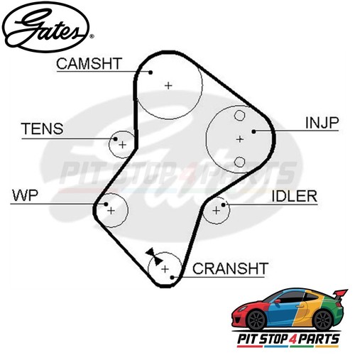 For fso polonez - polonez, timing