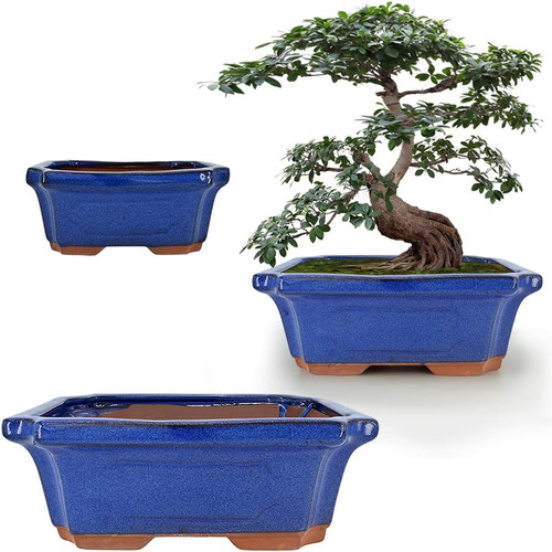 Pack ceramic bonsai planter - pack,